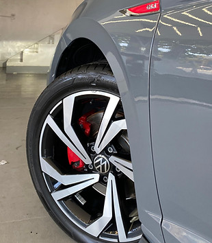 Pinças e pintura das rosas.jpeg