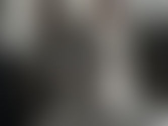 Bringing Pets Across Borders: What Every Dog Owner in Jalisco Should Know