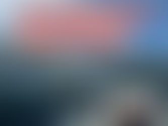 How to Safeguard Your Investment in Mexico