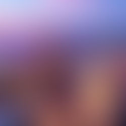 Puerto Vallarta Just Broke Records