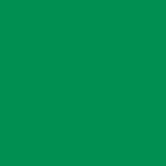 color section - 6.jpg