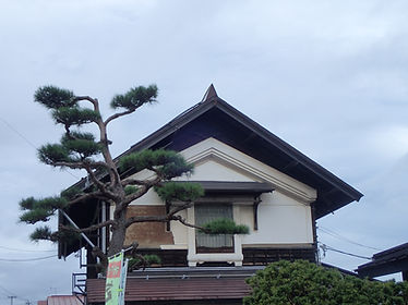 P9190082.JPG