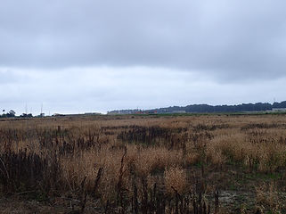 pw27420.JPG