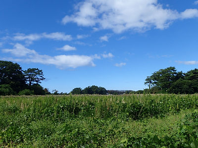 P9200139.JPG
