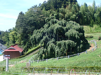 pw27436.JPG