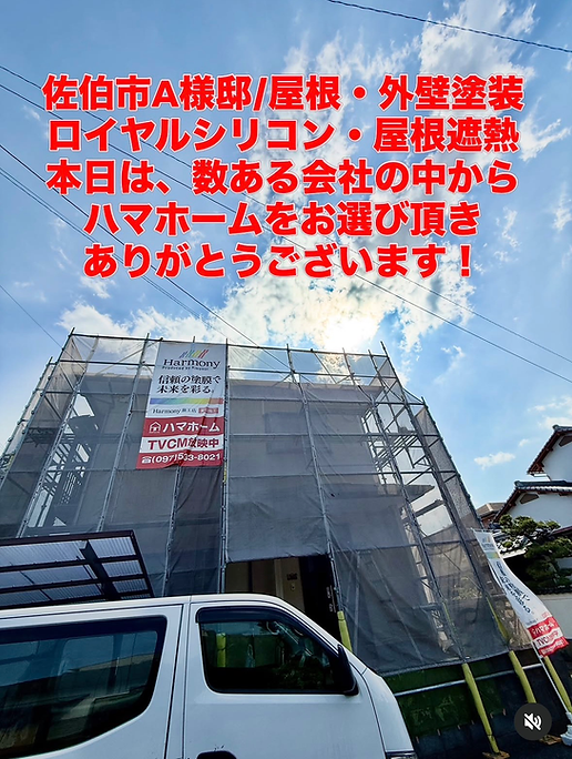 IMG_8339.PNG