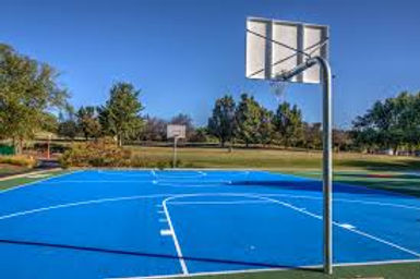 OnTheCourt.jpeg
