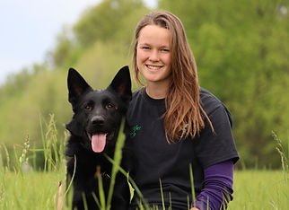 Iowa Dog Trainer | Anchored Canine