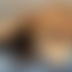 Puppy Temperament: How It Develops and EVOLVES