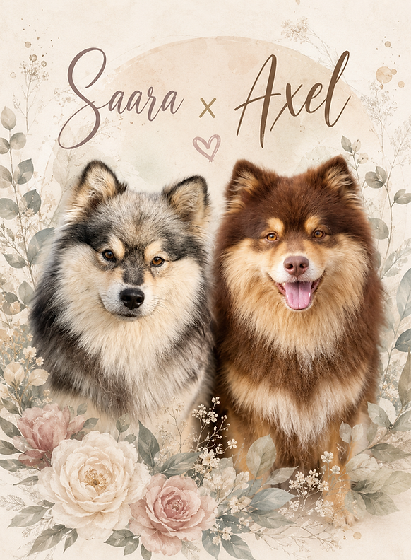 Saara x Axel