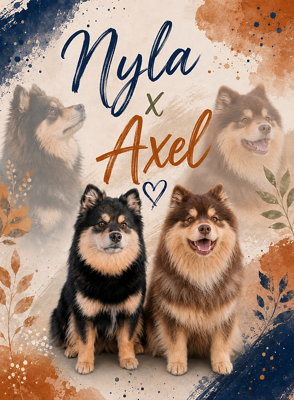nyla x axel