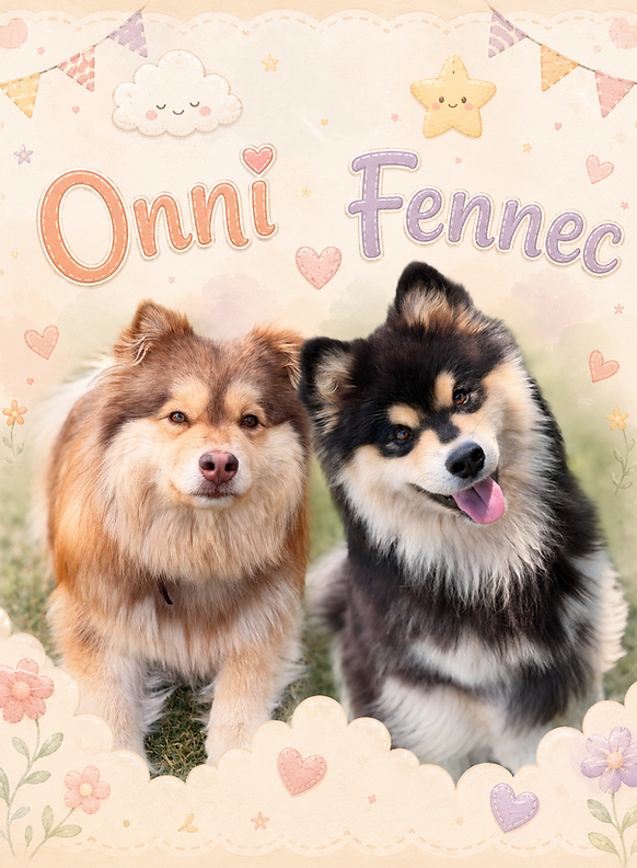 Onni x Fennec