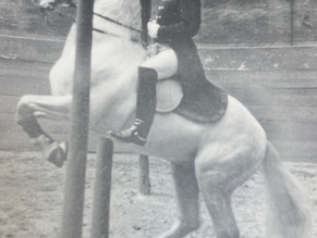 Chief Rider Moritz Herold