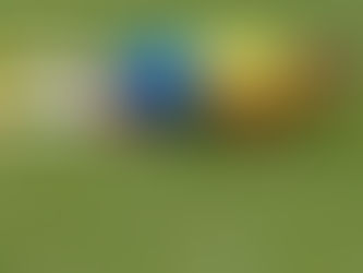 尼馬翻滾的戰術