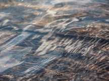 生成式 AI 如何重塑預測技術