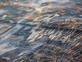 生成式 AI 如何重塑預測技術