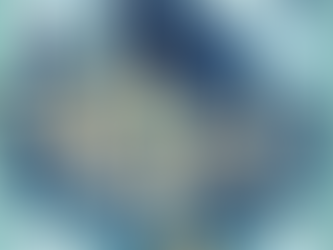 如何監察策略表現