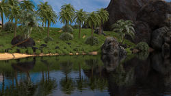 Exterior  tropical Render