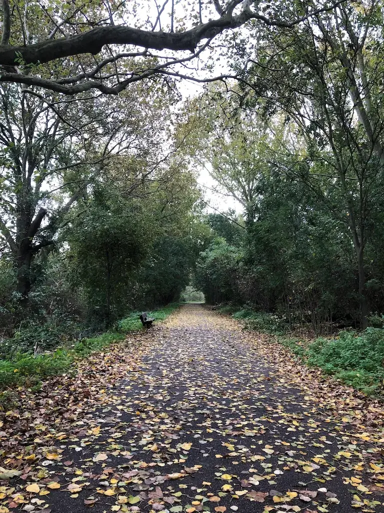 6 Ayda Yazılımcı Olunur mu?
