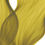 Thumbnail: Sunlight Leaf