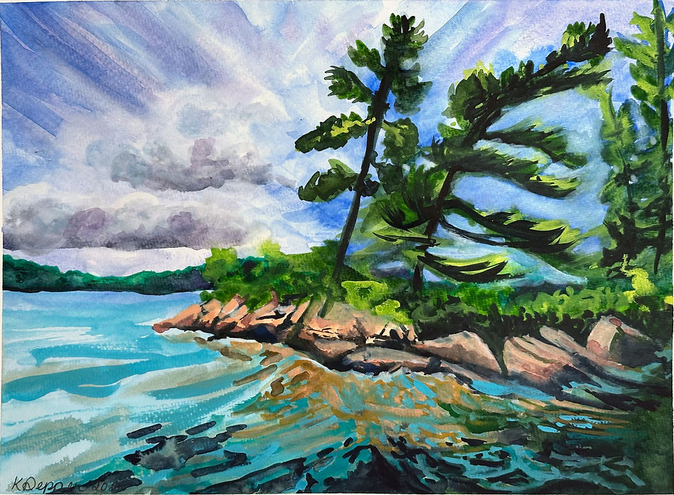 White pines on Big Gull Lake