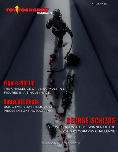 Issue 12 - Printed Copy | Toytography Magazine