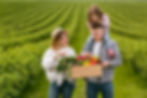 familia-aproveitando-o-tempo-na-fazenda.jpg