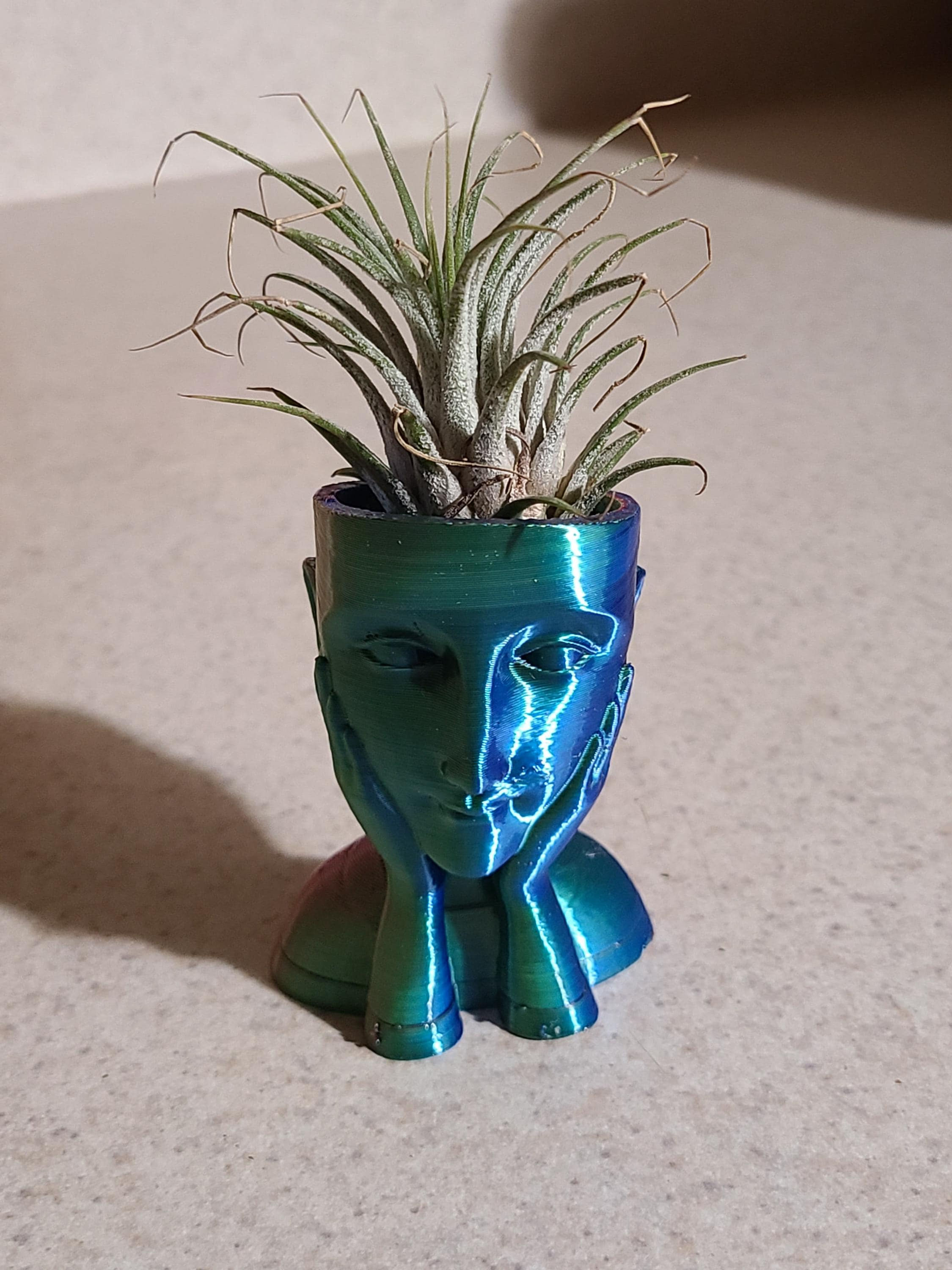 Girl Holding Face Air Planter with Air Plant
