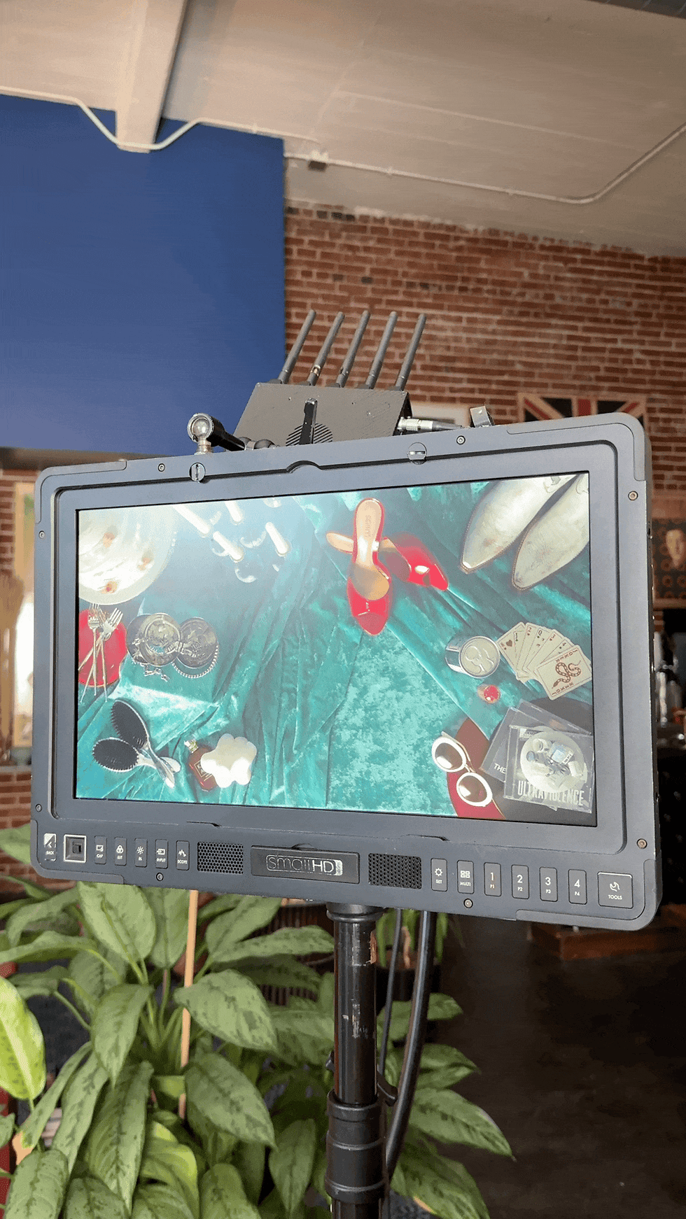 IMG_5560.gif