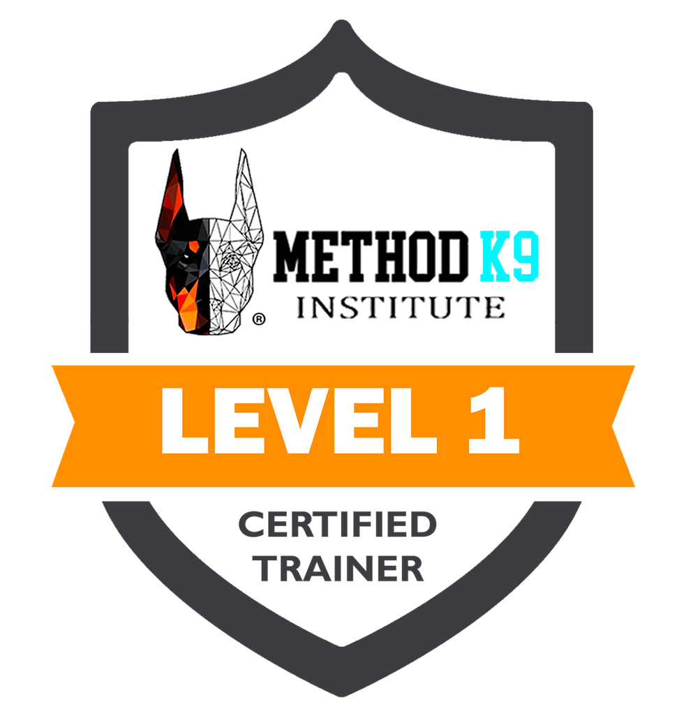 CERTIFIED-BADGE-MK9I-LEVEL-1-TRANSPARENT.png