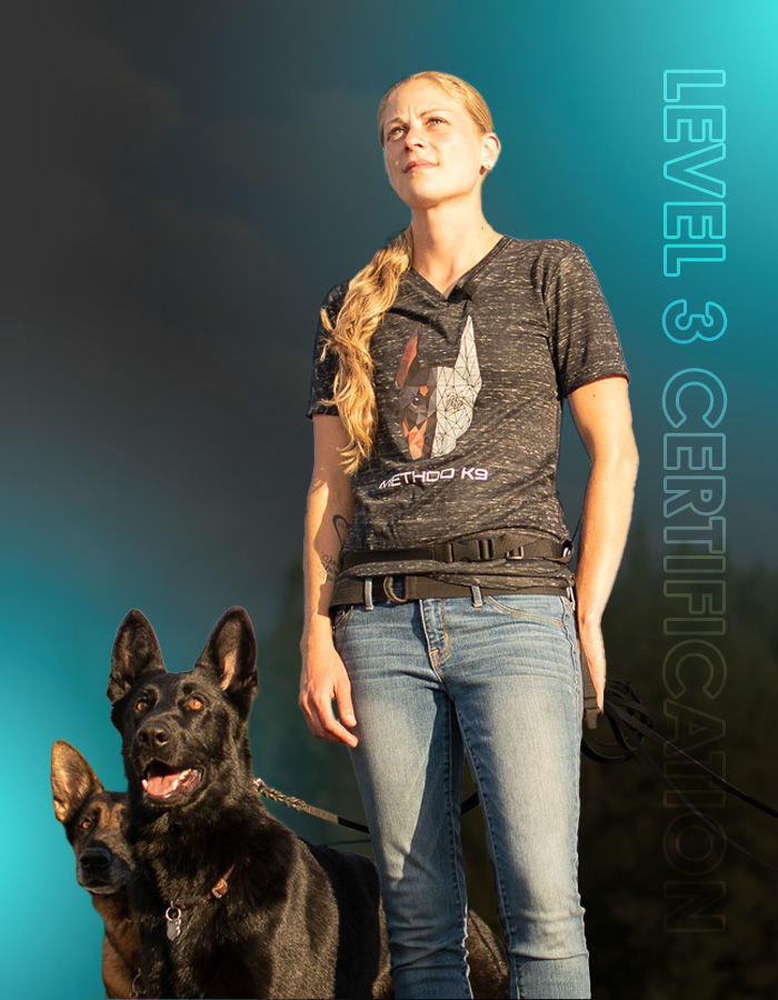 Stephanie Vichinsky Standing with Two German Shepherds, Words in the Background say Level 3 Certification