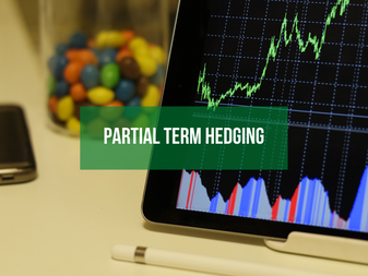 Partial Term Hedging-The Eurodollar Alternative