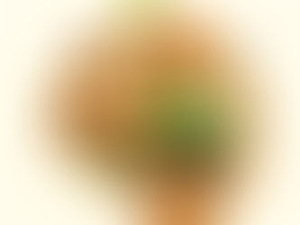 Anorexia, Malnutrition, and the Starving Brain: Why Nutrition is the First Step to Recovery