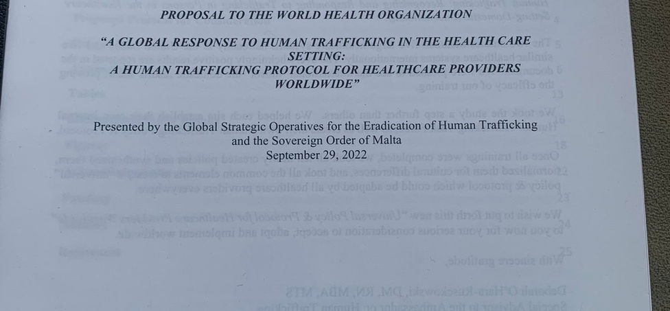 GSO Presents to WHO at the UN