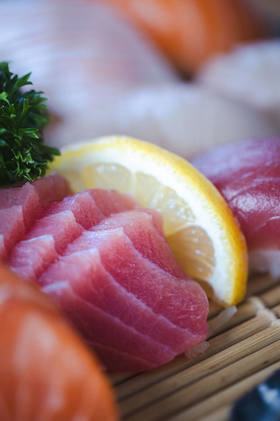 Suzu -Discover summer 2023-24-40