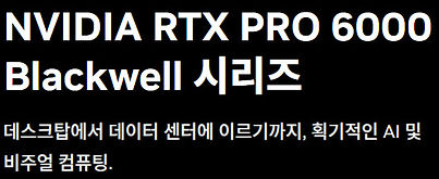 nvidia pro 6000 text.jpg