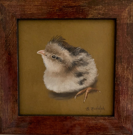 Woody 4x4 Baby Quail 2.jpeg