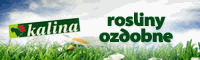 banner_maly.gif