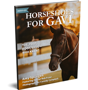 Horseshoes for Gavi 3D Mockup.png