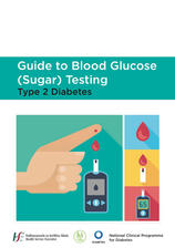 HSE-Guide-Testing-Blood-Glucose-Type-2-Diabetes.jpg