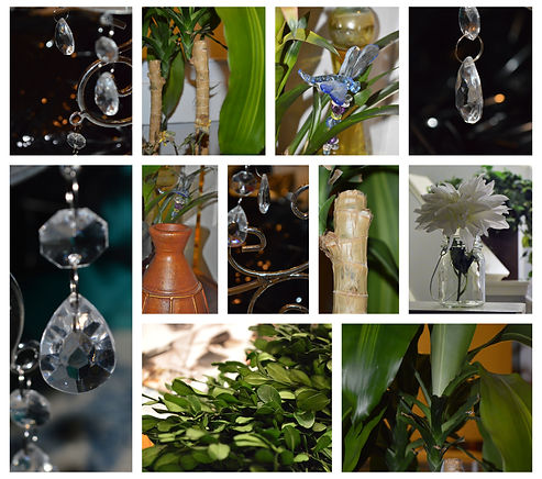 BeFunky-collage 1a.jpg