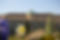 free-photo-of-a-large-building-with-flowers-and-trees-in-front.jpeg