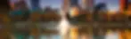 2b4786_7a16a3f43cf2469dac5d6d128e6e8b11~mv2.webp