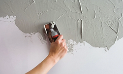 Painting /plaster works