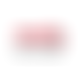 WTAC Official Statement Regarding Competitor Conduct at the 2025 World Time Attack Challenge