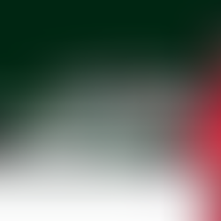 Team Korea and Miji Kang confirmed for WTAC 2024