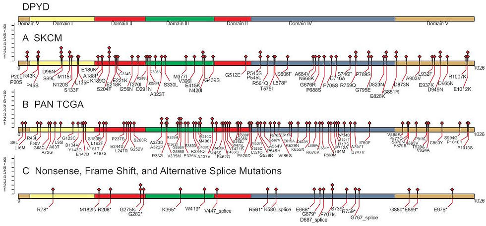 Pan cancer analysis of mutation data