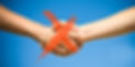 handshake saewww.jpg