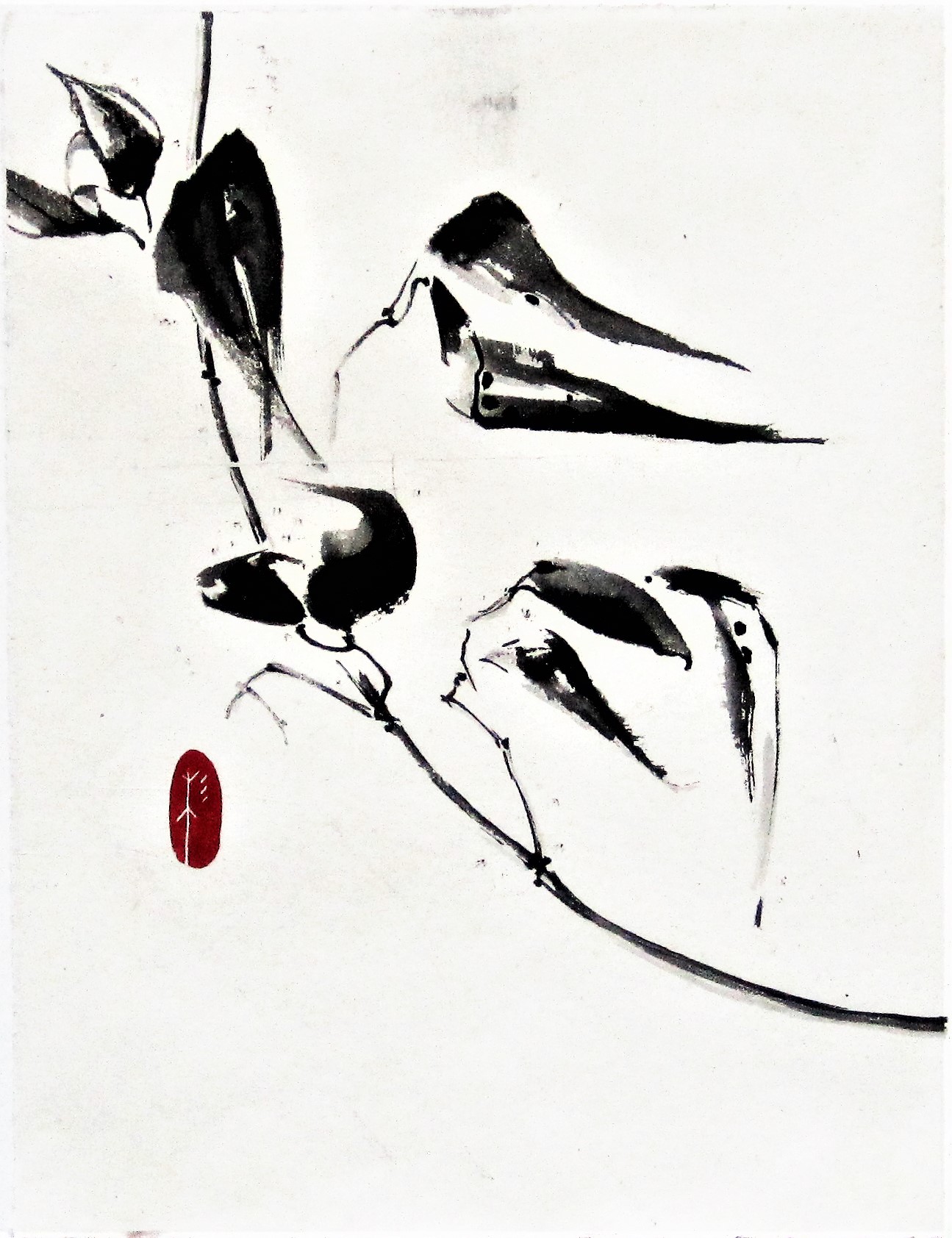 Seedpods 2