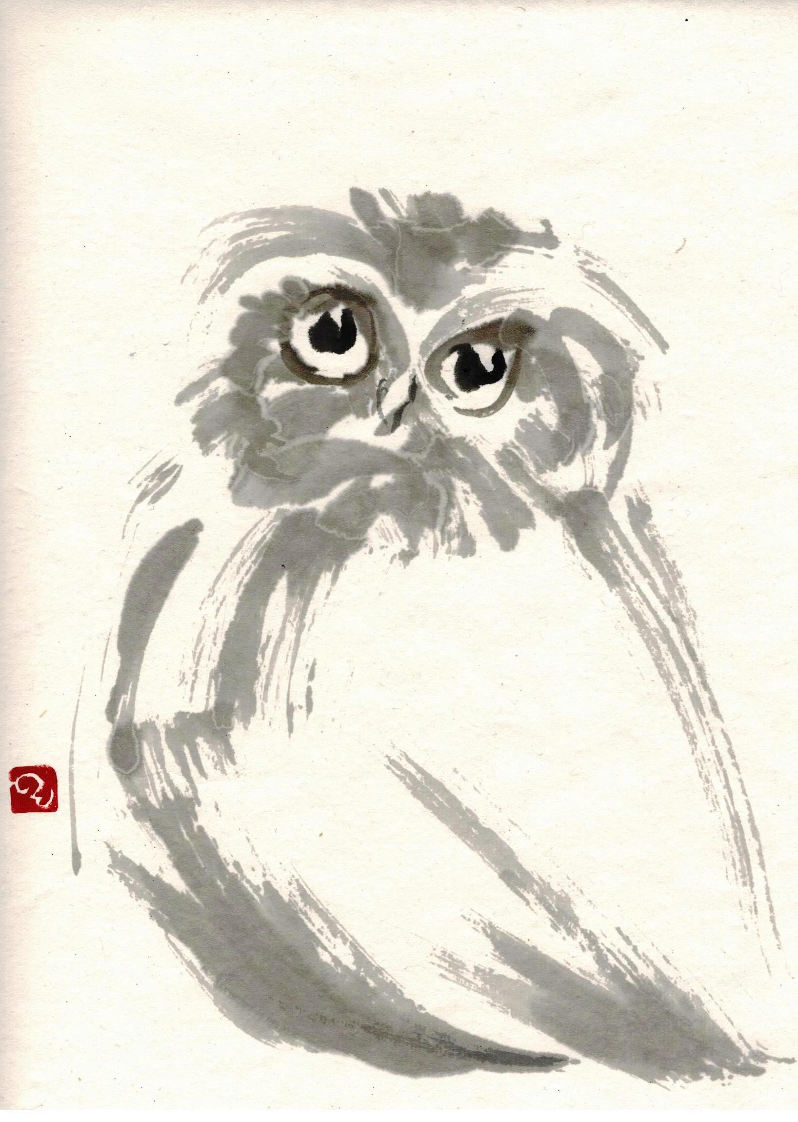 Pat's Owl